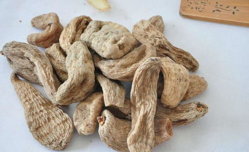 藏民地 西藏野生天麻的特別之處 天然去雕飾才是品質(zhì)最好的天麻