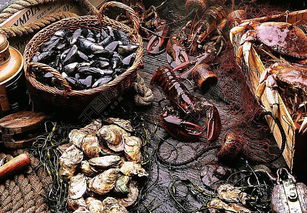 鮑魚(yú)圖片高清圖片免費(fèi)下載 jpg格式 編號(hào)15251670 千圖網(wǎng)