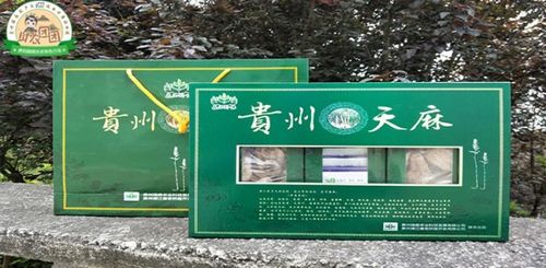 森山黔緣 貴州天麻