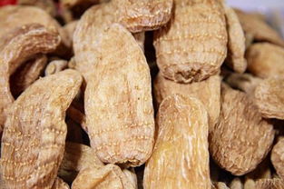 前方高能 你湯里的這種補(bǔ)品是吃蘑菇長(zhǎng)大的