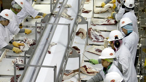 美國肉類工廠疫情危機 570人集體感染新冠，疫情期間被迫開工的背后