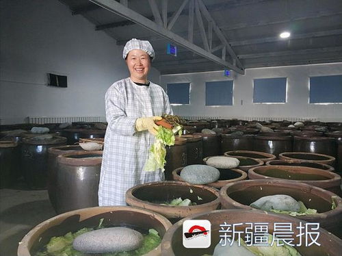 新疆沙灣農(nóng)家女 一壇咸菜帶火大盤雞，悄然走俏周邊城市