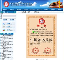 以品牌之光，照亮技術推廣之路——中國馳名品牌技術推廣服務戰略解析